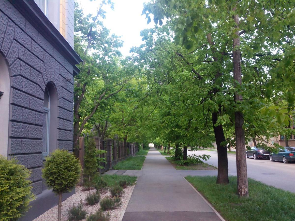 Butas Premium Class Apartment, Free Parking, Maximum 5 Guests, 2 Bedrooms, 3 Beds *