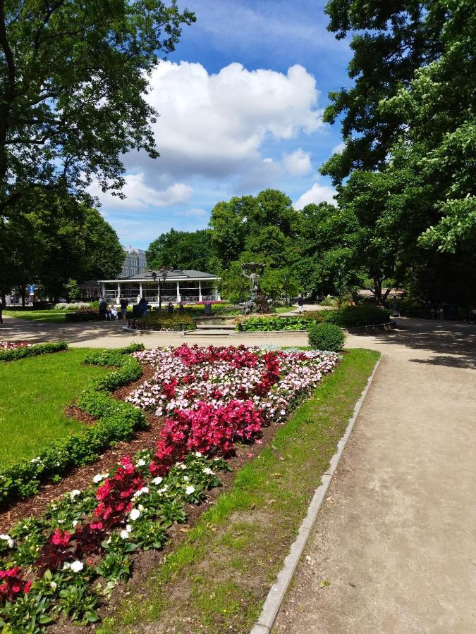 Neat And Cosy Riga
