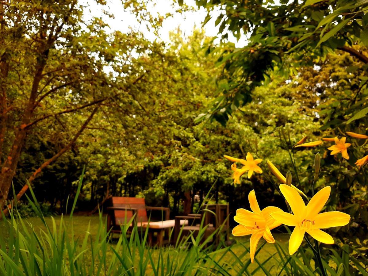 Champetre Park View Butas *
