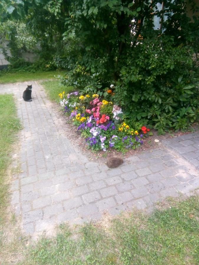 Boutigue House With Terrace And Garden Free Parking Huoneisto Riika