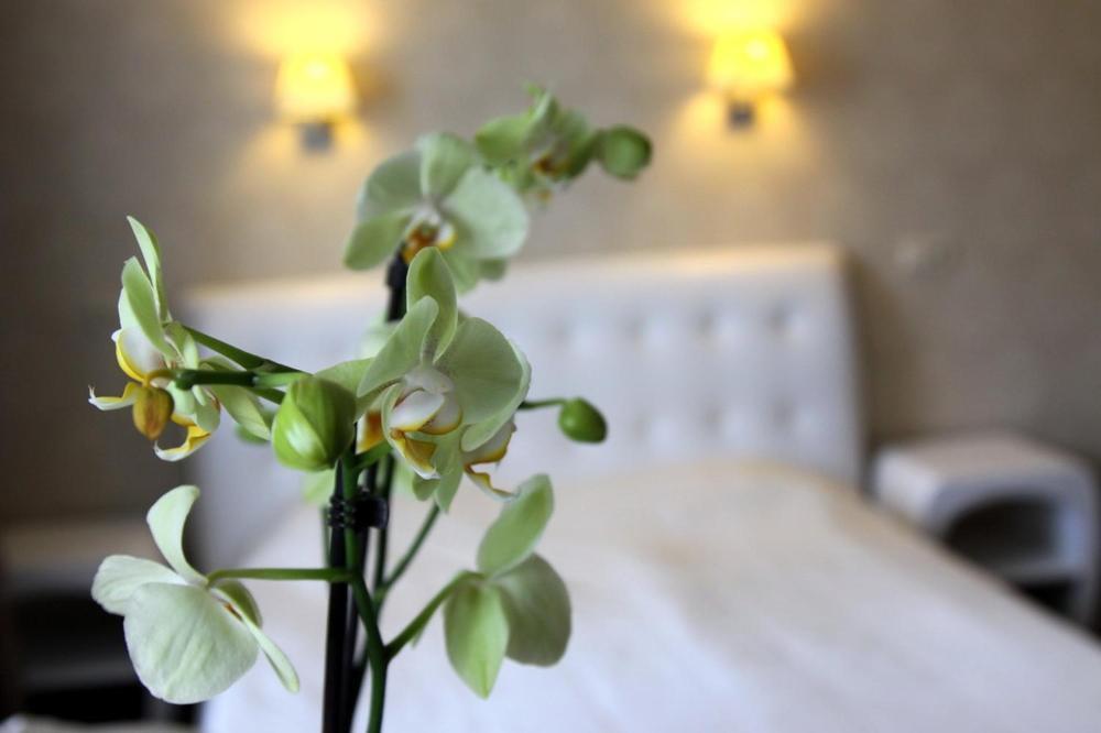 Felicia Hotel 3*