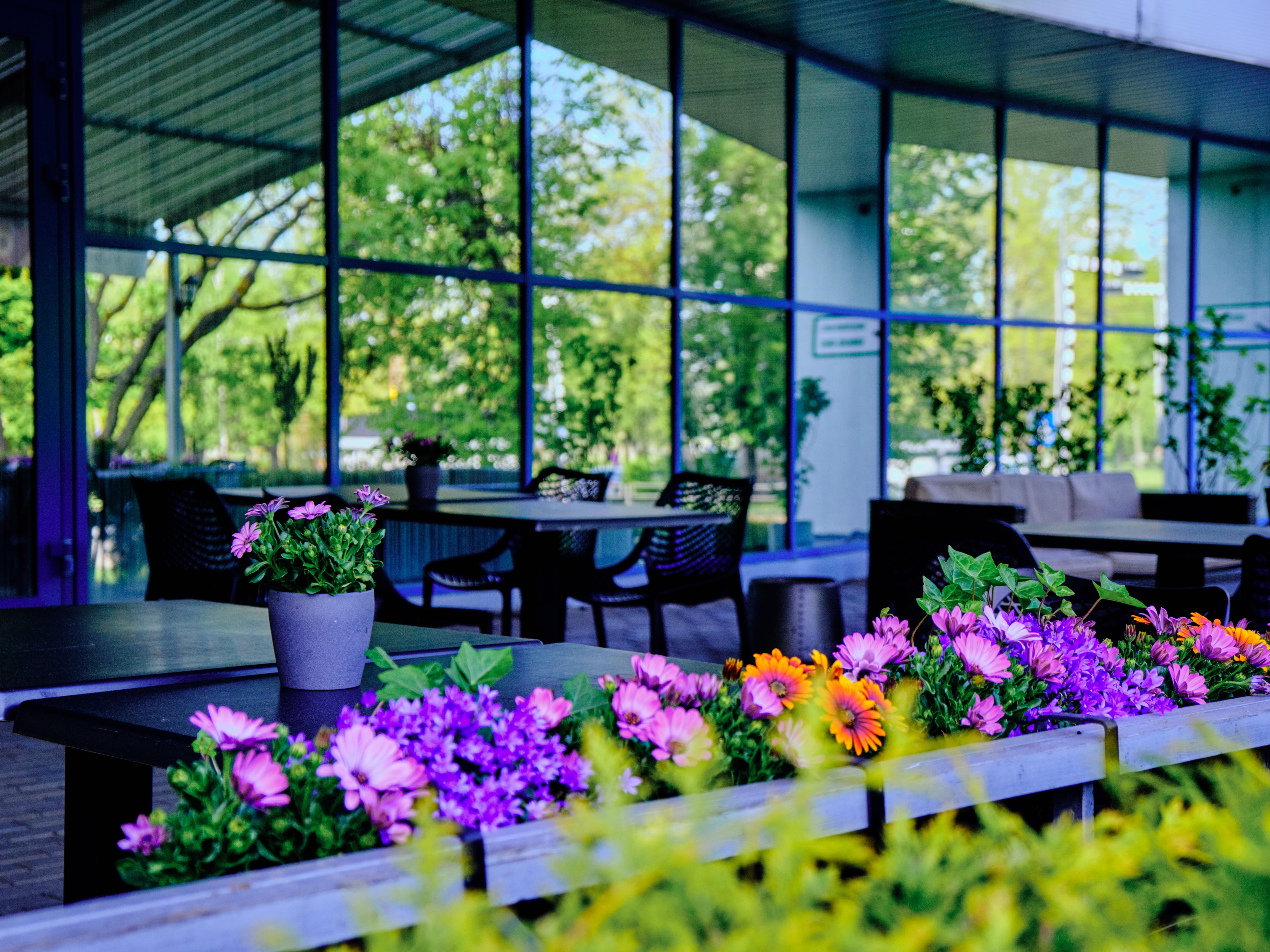Bellevue Park With Free Parking 4* Riga