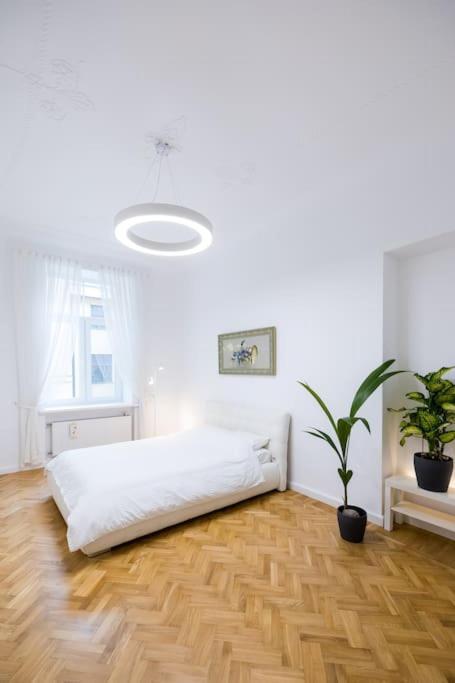 Apartment Art Nouveau - 210 M2 *