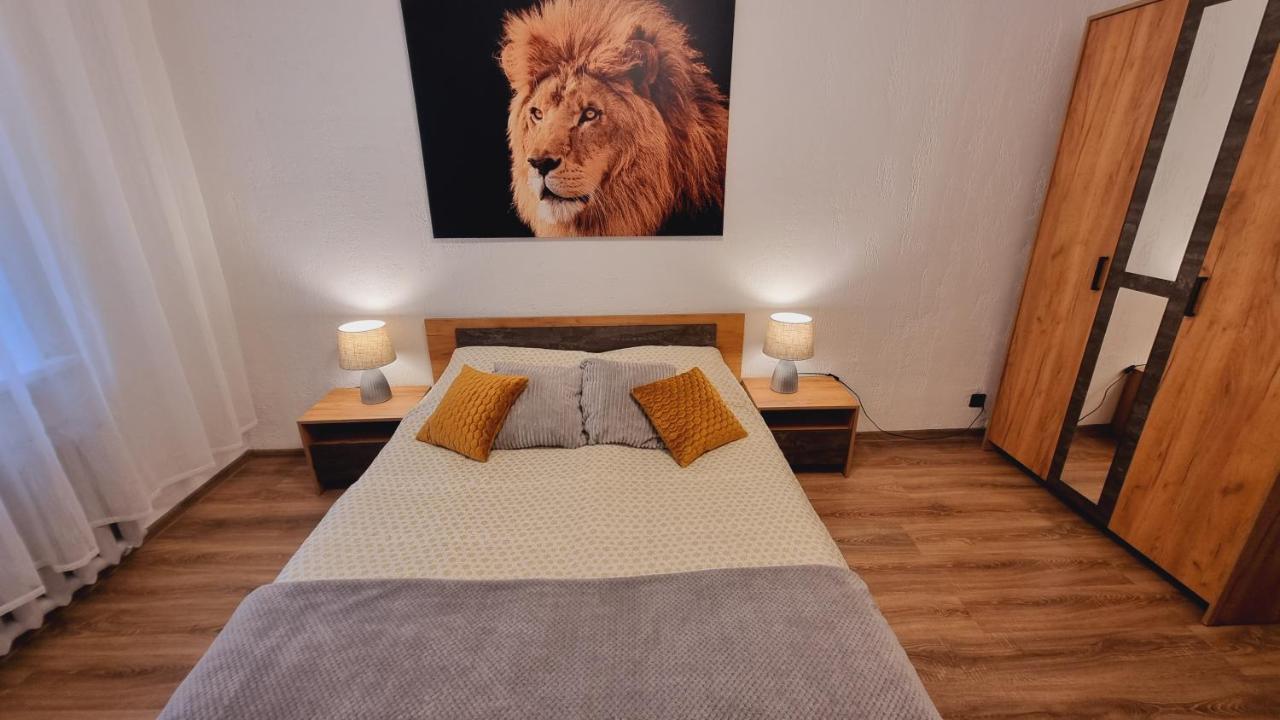 Apartment V311