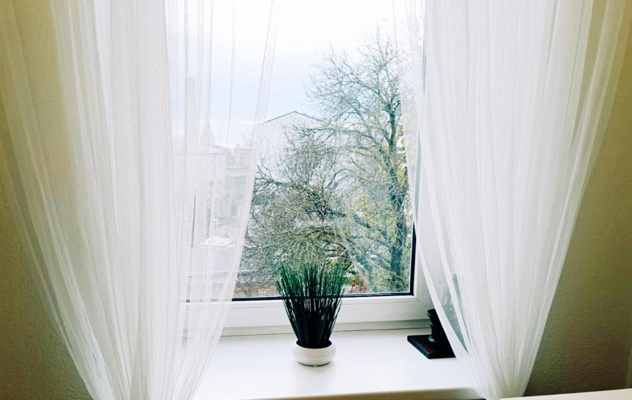 Center Cozy Studio