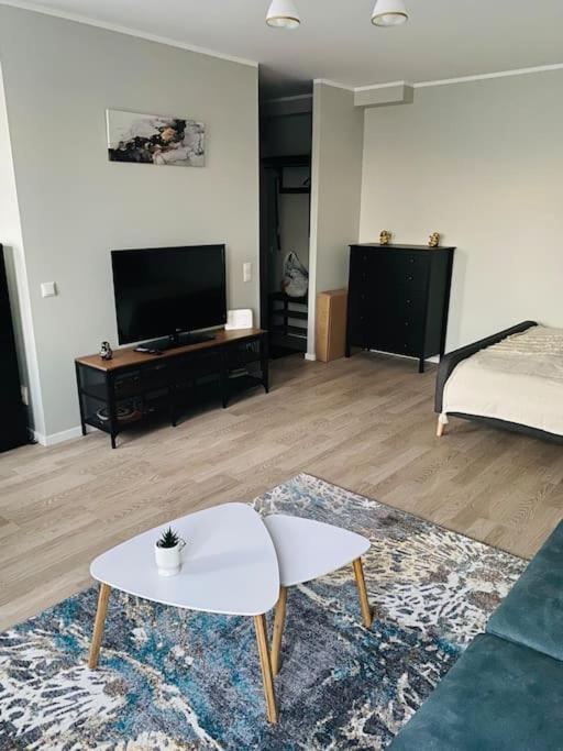 1-bedroom Loft In Siena Tirgus *
