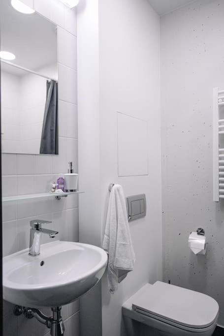 Sia J12 Jelgavas Iela 8 Apartment Riga