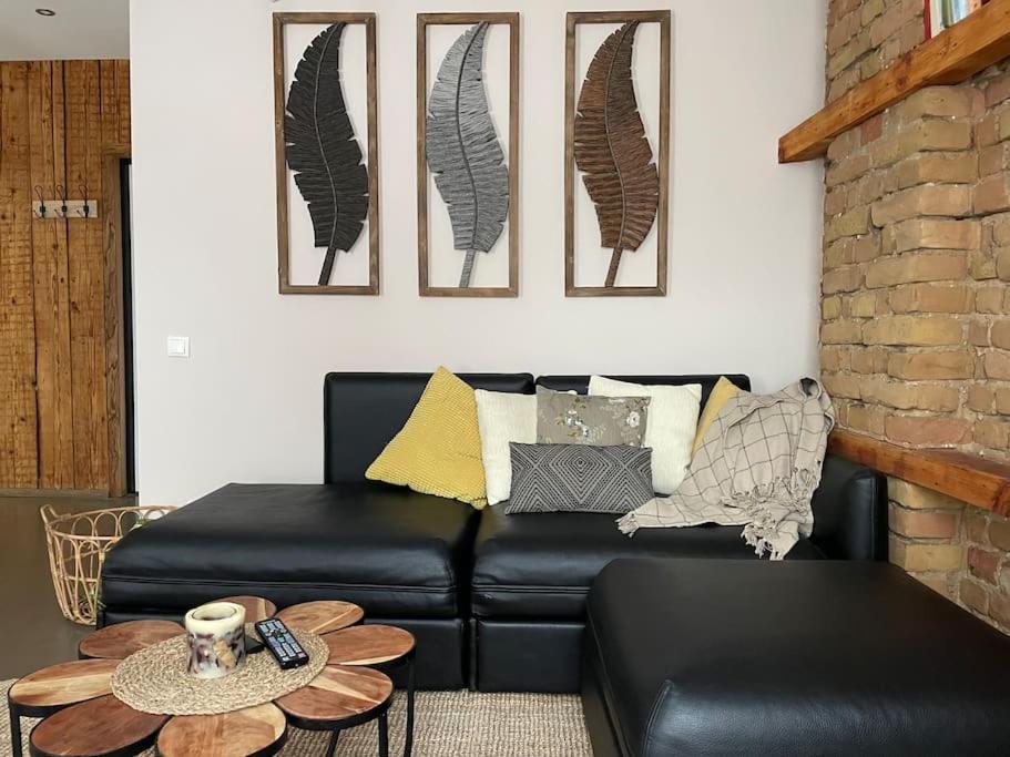 Elegant 1br/ba In Center W Free Parking Căn hộ
