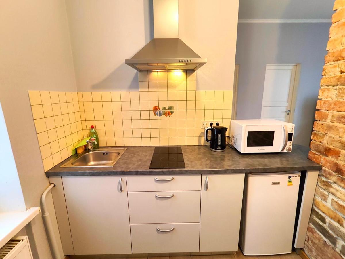 Butas Gleznotaju Old Town Two Bedroom