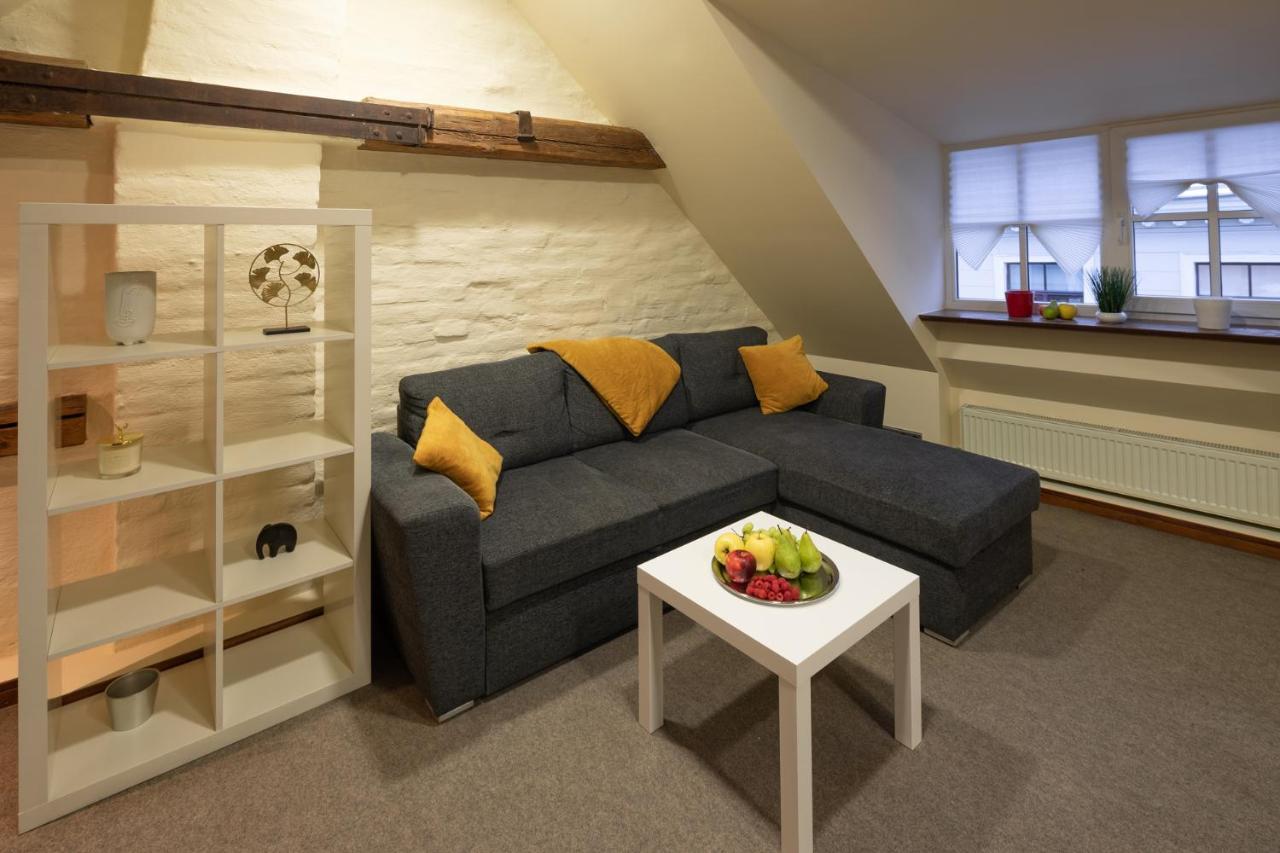 Old Town Charm One Bedroom Spacious Loft Nearby The Livu Square * Riga