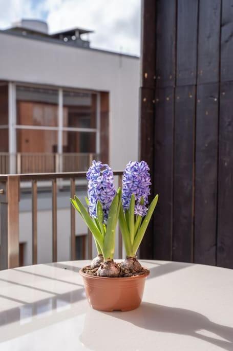 Huoneisto New Loft With Rooftop Terrace In The Old Town *