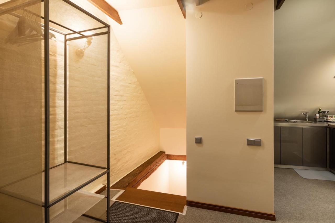 Apartment Old Town Charm One Bedroom Spacious Loft Nearby The Livu Square Riga