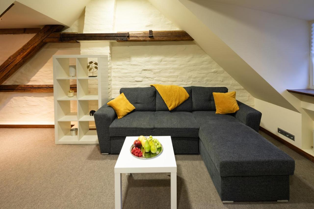 Old Town Charm One Bedroom Spacious Loft Nearby The Livu Square Apartment