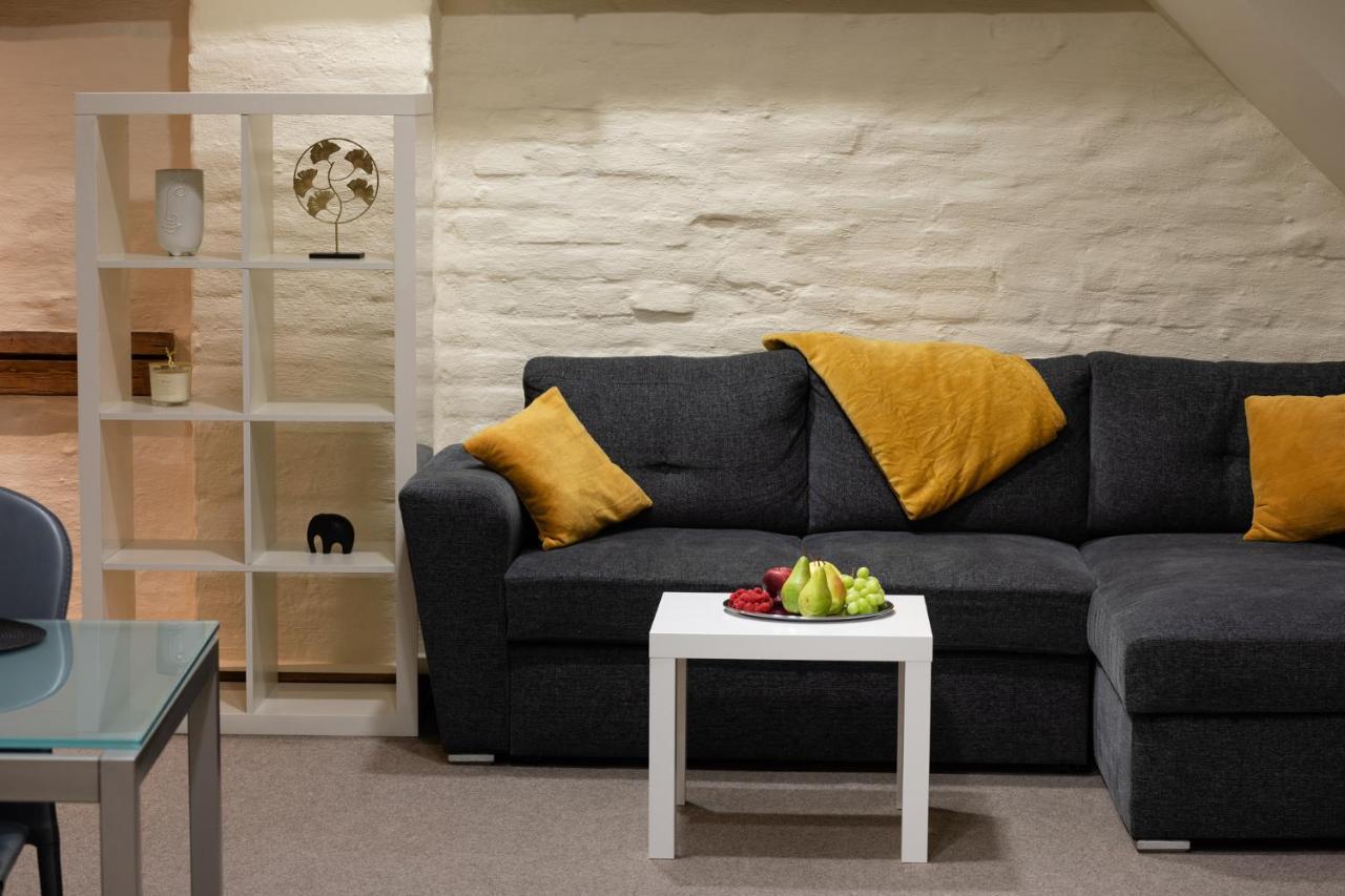 Old Town Charm One Bedroom Spacious Loft Nearby The Livu Square *