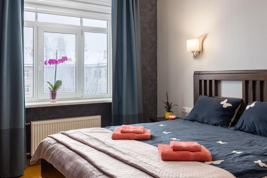 Lovely 2-bdrm Ideal For Couples And Family With Children, Free Parking On Premises * Riga
