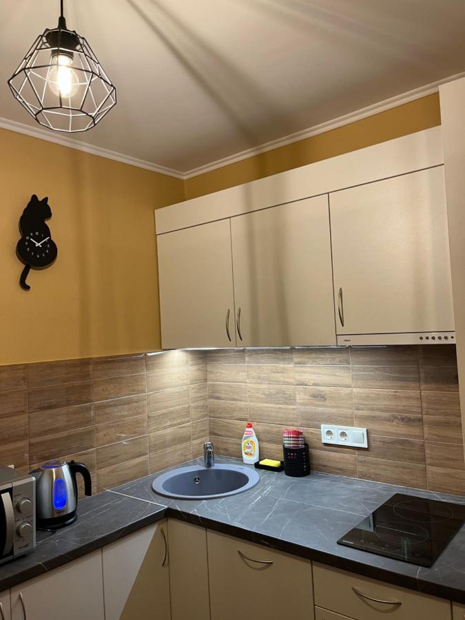 Cat Garden Modern *