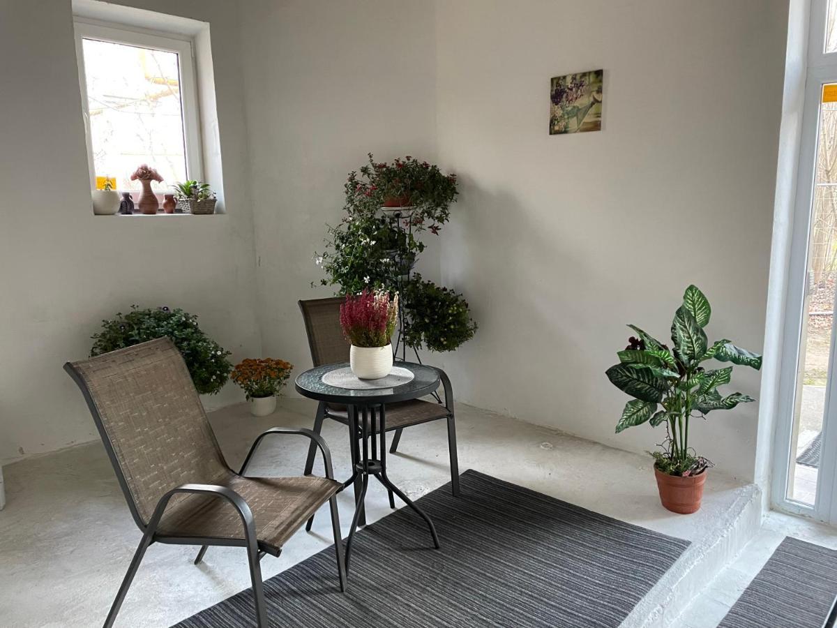 Huoneisto Triada Near The Park And River Daugava *