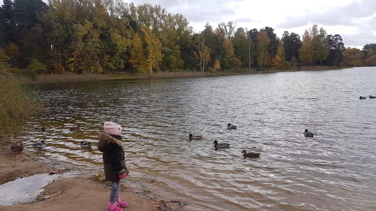 Villa Lake&forest&city *