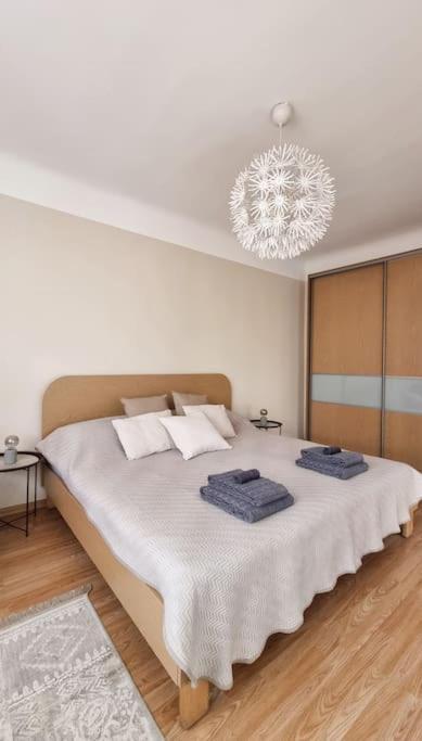 Sencu Apartamenti No.6