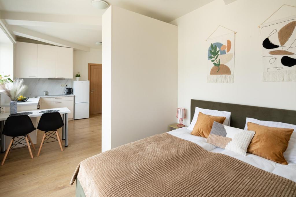 Apartment Leonardo Studio In City Center Riga