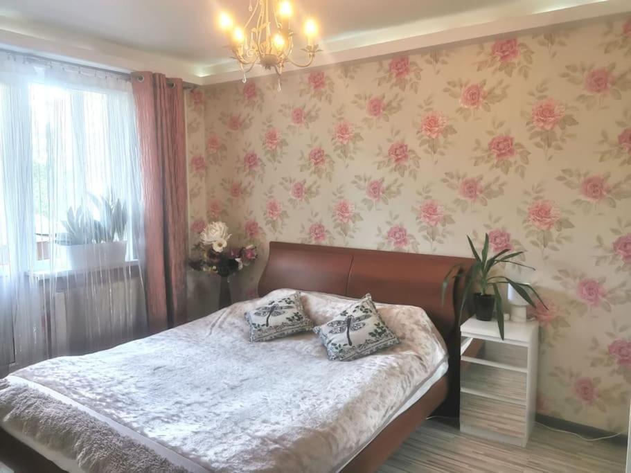 Cozy Flat Riga