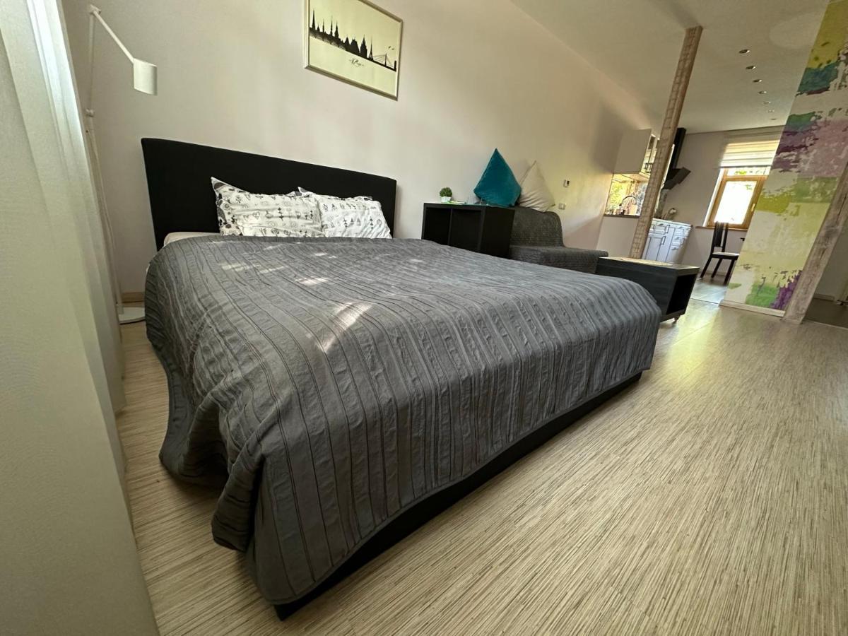 Studio In Private House Apartment *