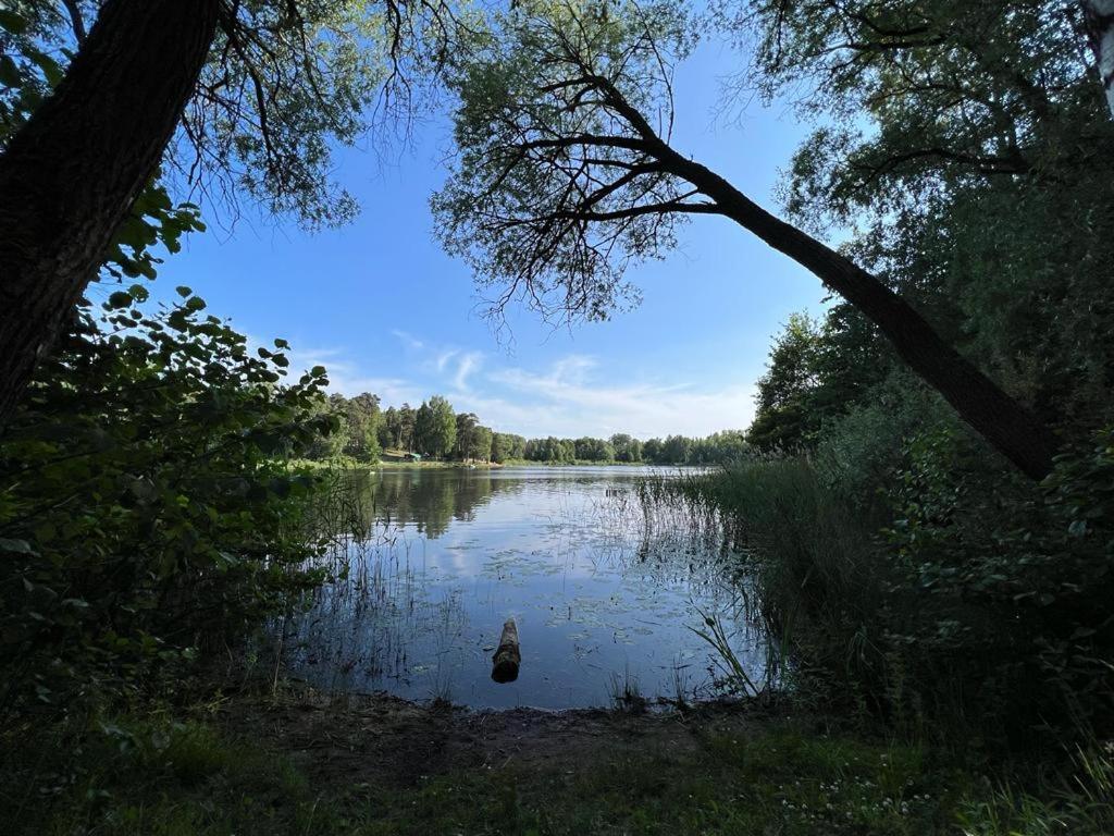 Lake&forest&city Villa