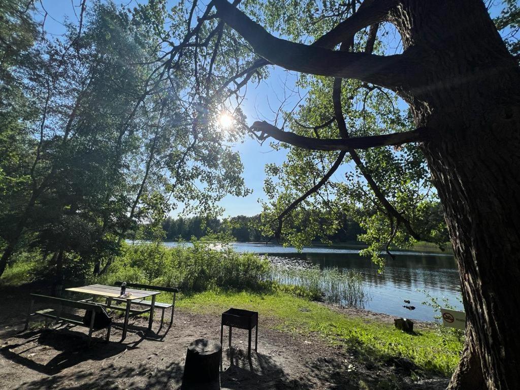 Lake&forest&city * Riga