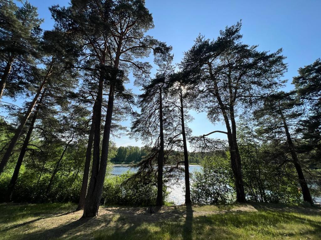 Villa Lake&forest&city *