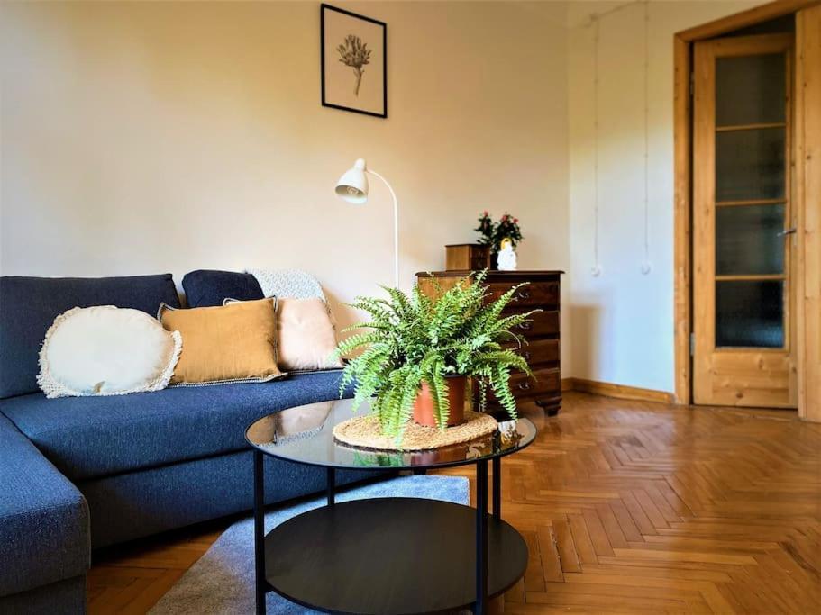 Teika Apartment Riga