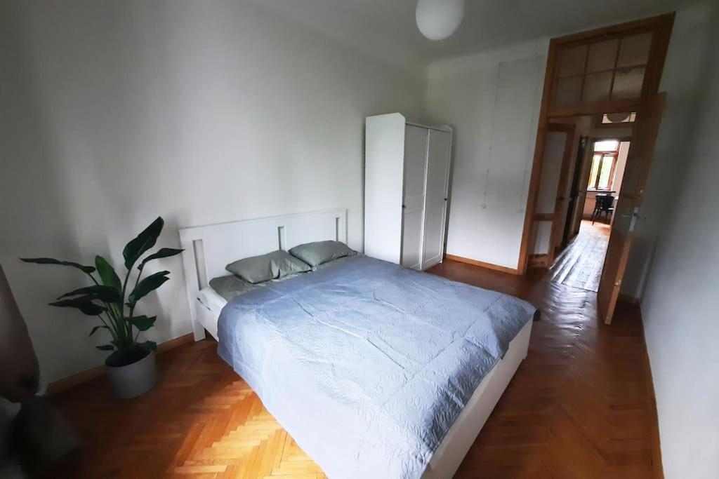 Teika Apartment
