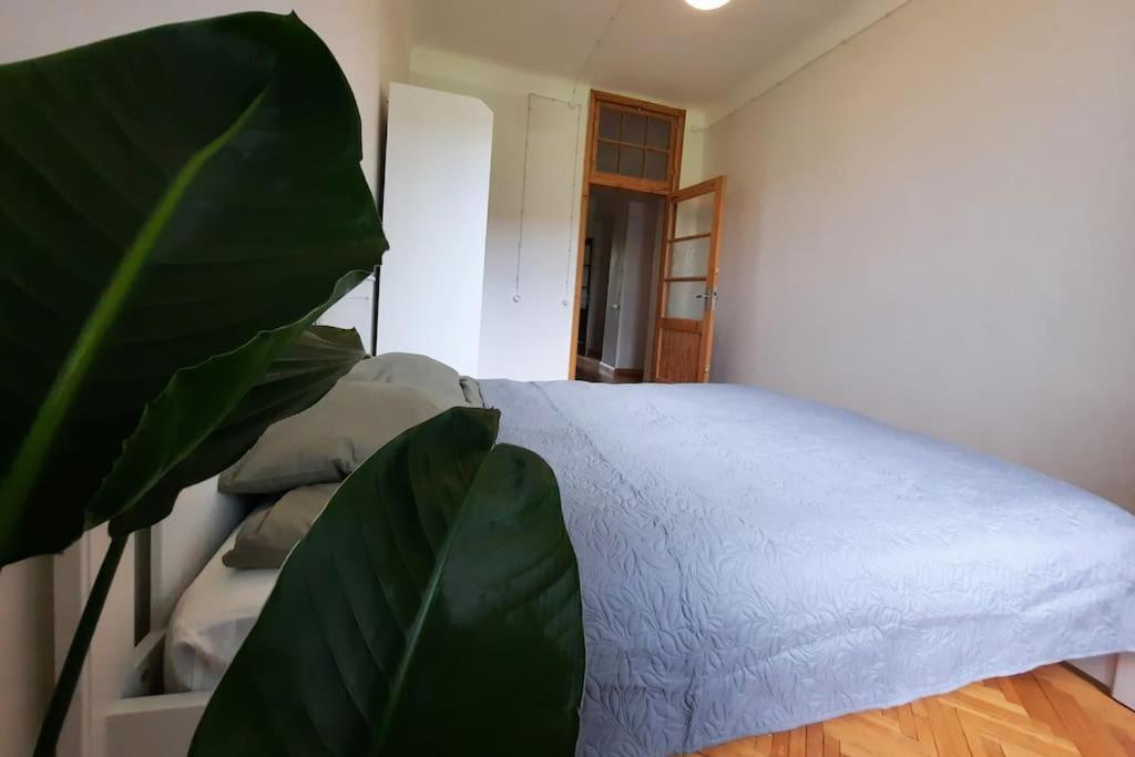 Teika Apartment