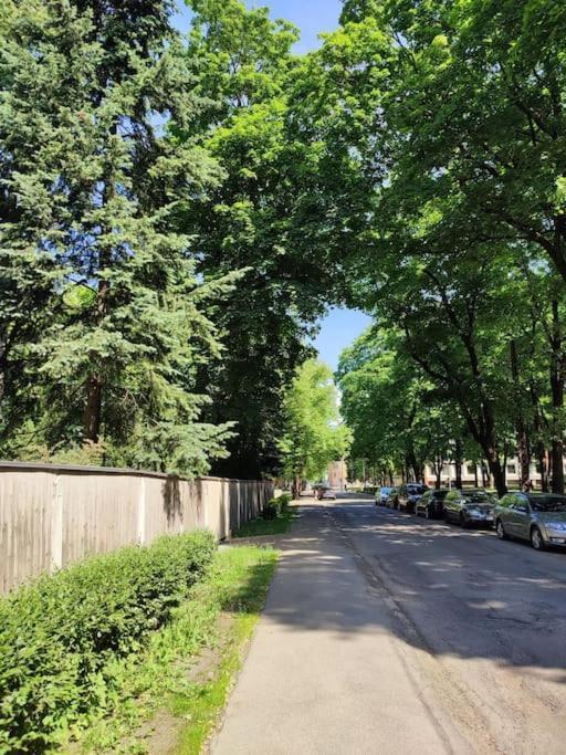 Căn hộ уютный лофт среди старых парков
