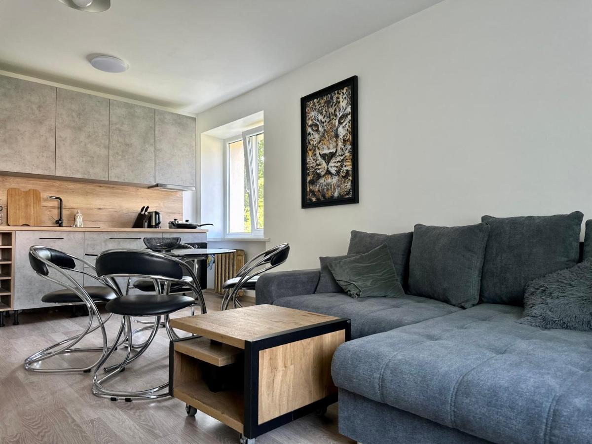 Apartment Mezaparks + Private Parking