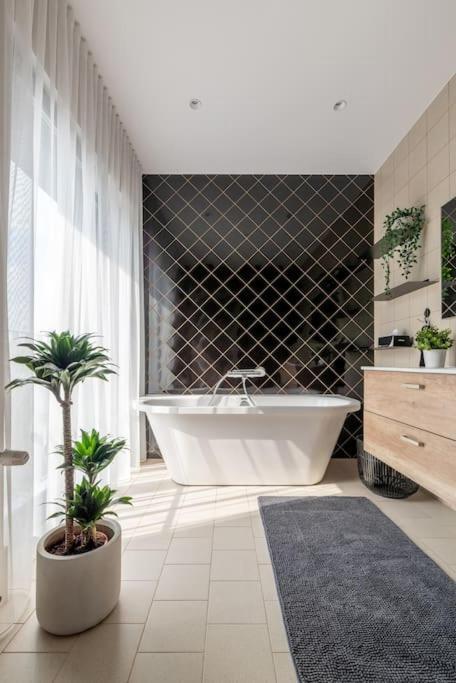 Luxurious Penthouse With Parking Riga