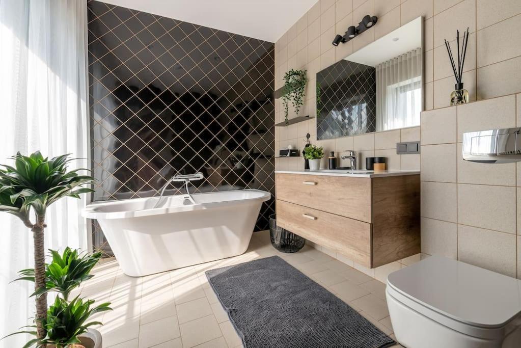 Apartment Luxurious Penthouse With Parking Riga