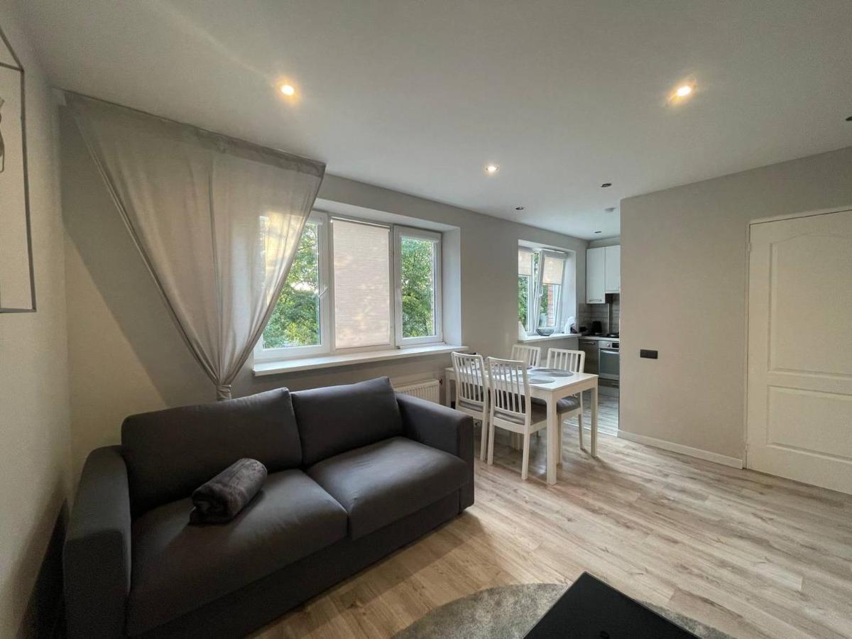 Expansive One Bedroom Gem In A Peaceful Locale Riga