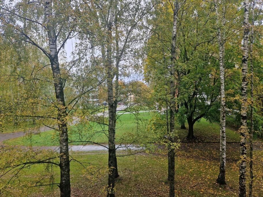 Ilguciema Riga