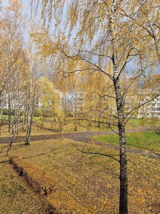 Ilguciema Apartment Riga