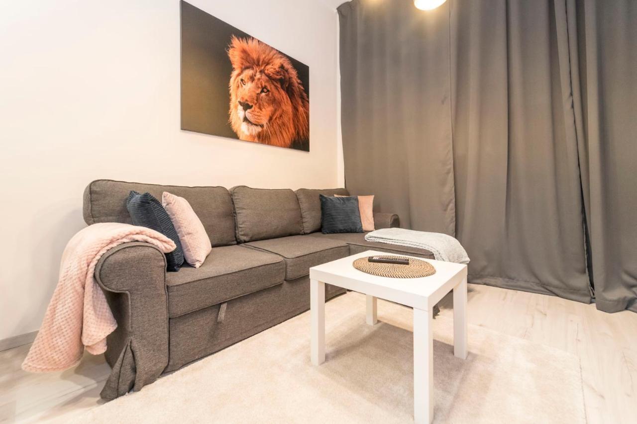 Cozy And Bright Apartment Riga
