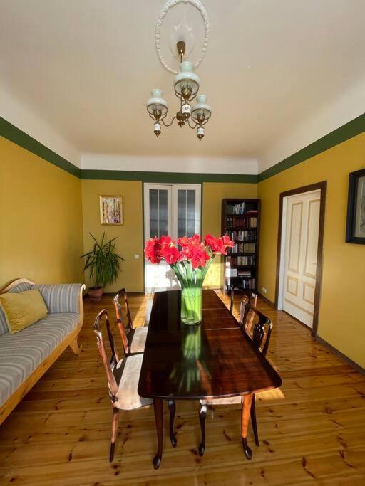 Spacious And Bright Center With Cityview Apartment