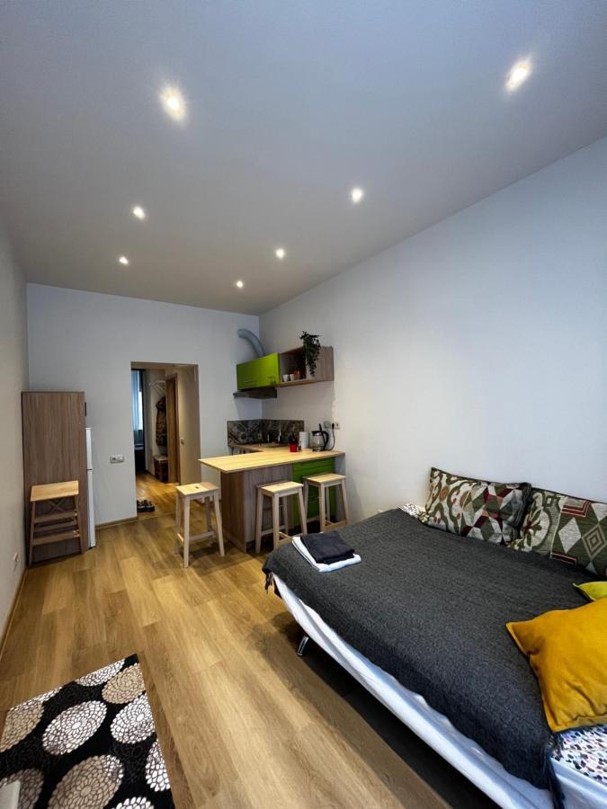 Cozy Flat Near Center Apartment Riga