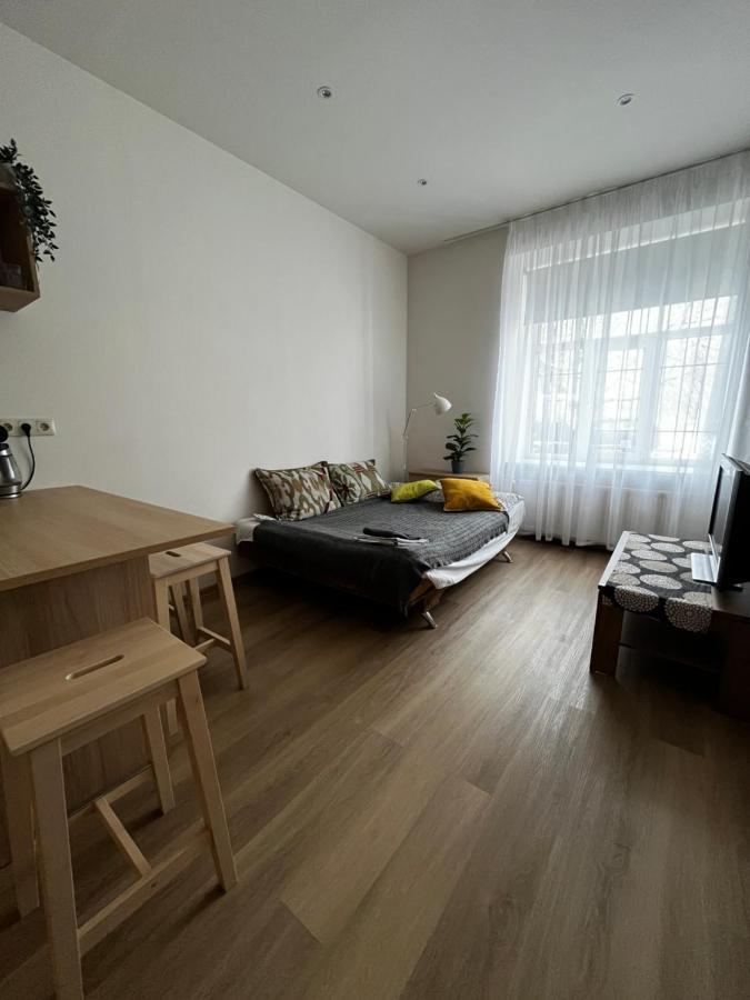Cozy Flat Near Center Apartment