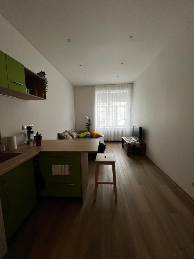 Cozy Flat Near Center Apartment *