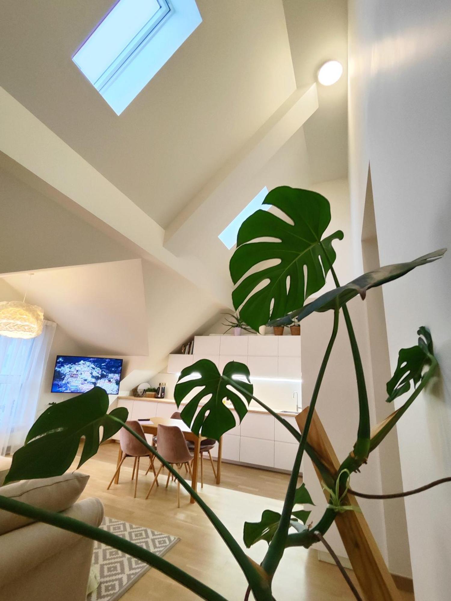 Wide & Light - Self Check In Apartment *