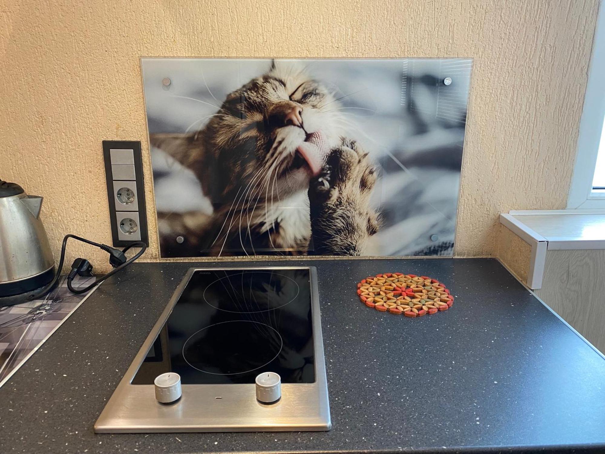 Cat Garden Superior
