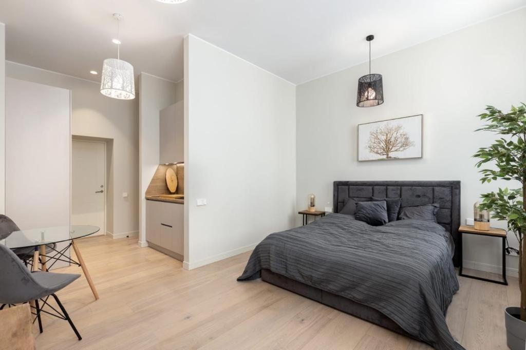 Apartment Kalnina Street