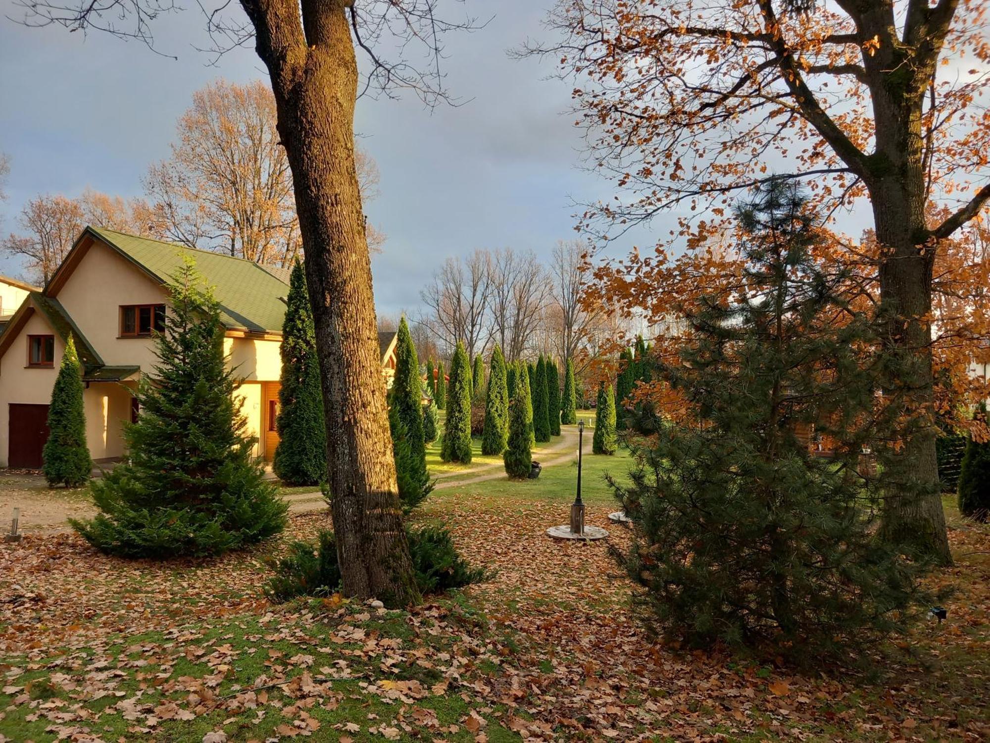 Forest Edge House Riga