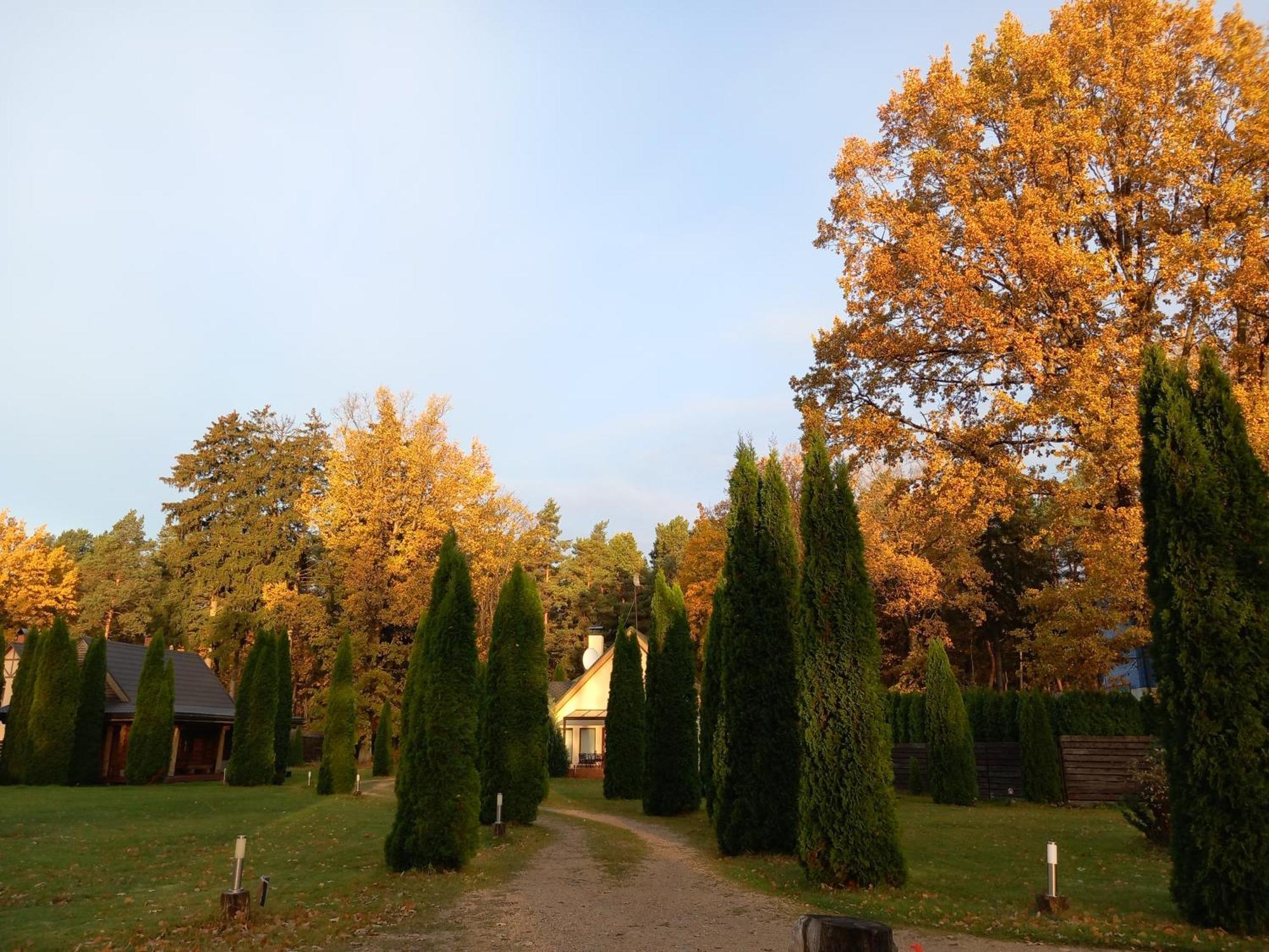 Forest Edge House Riga