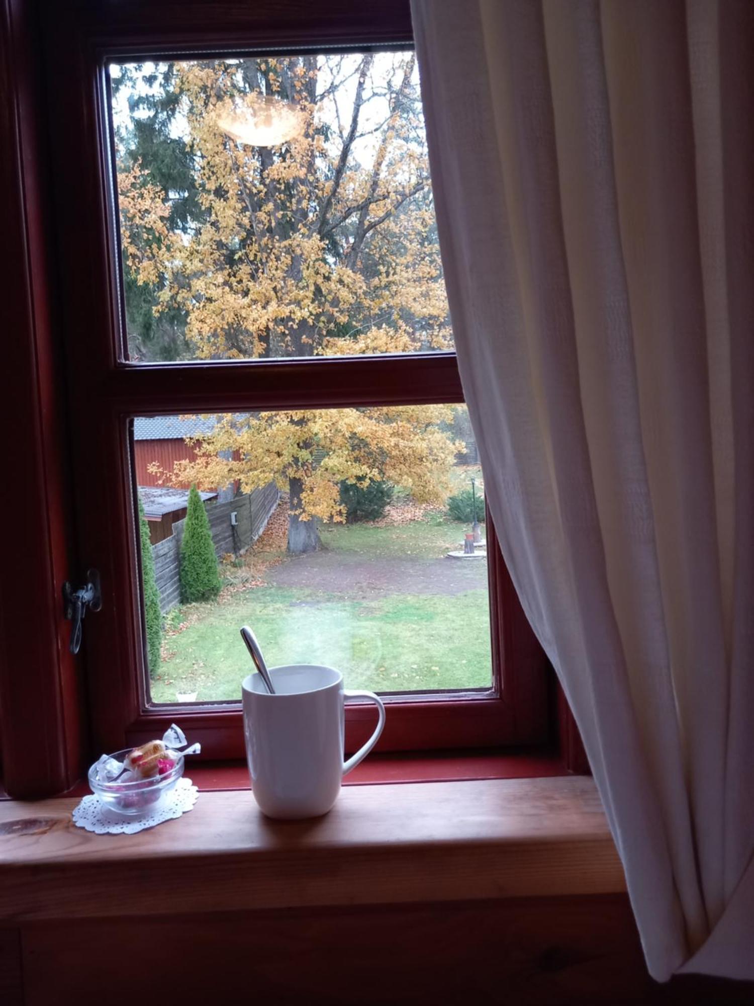 Forest Edge Lodge Holiday home